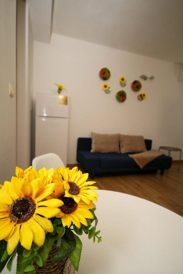 Sunrise Studio Timisoara Exterior photo
